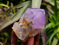 Polished Jacaranda Amethyst Quartz Crystals x 6 From Mumbwa, Zambia