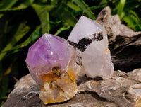 Polished Jacaranda Amethyst Quartz Crystals x 6 From Mumbwa, Zambia
