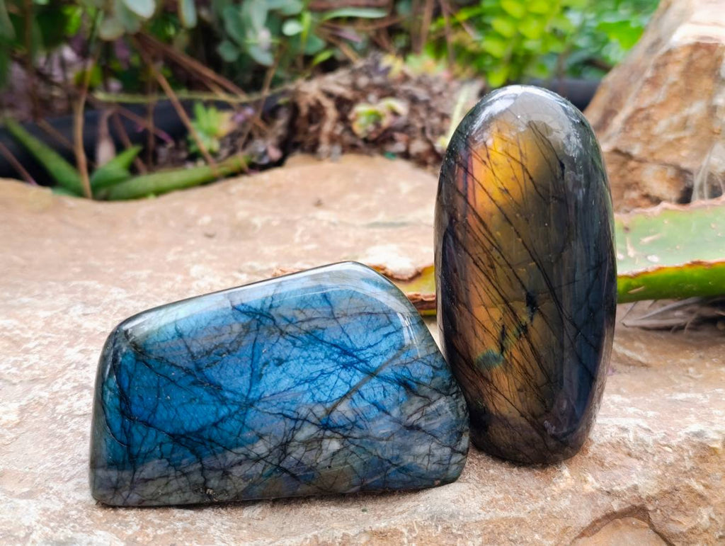 Polished Labradorite Standing Free Forms x 6 From Tulear, Madagascar - Toprock Gemstones and Minerals 