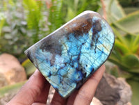 Polished Labradorite Standing Free Forms x 6 From Tulear, Madagascar