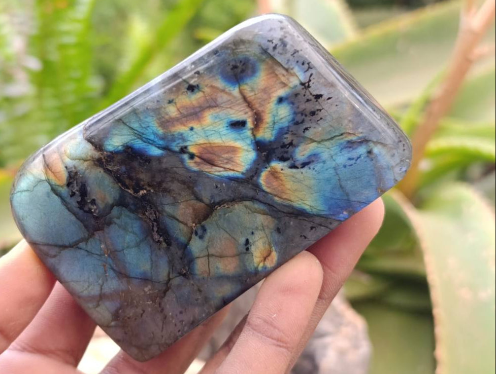 Polished Labradorite Standing Free Forms x 6 From Tulear, Madagascar - Toprock Gemstones and Minerals 