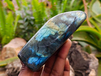Polished Labradorite Standing Free Forms x 6 From Tulear, Madagascar