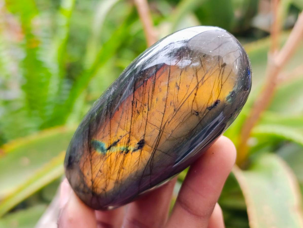 Polished Labradorite Standing Free Forms x 6 From Tulear, Madagascar - Toprock Gemstones and Minerals 