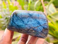 Polished Labradorite Standing Free Forms x 6 From Tulear, Madagascar