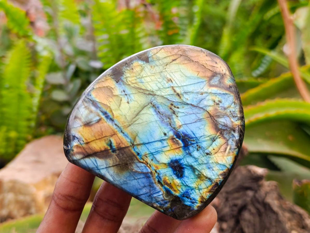 Polished Labradorite Standing Free Forms x 6 From Tulear, Madagascar - Toprock Gemstones and Minerals 