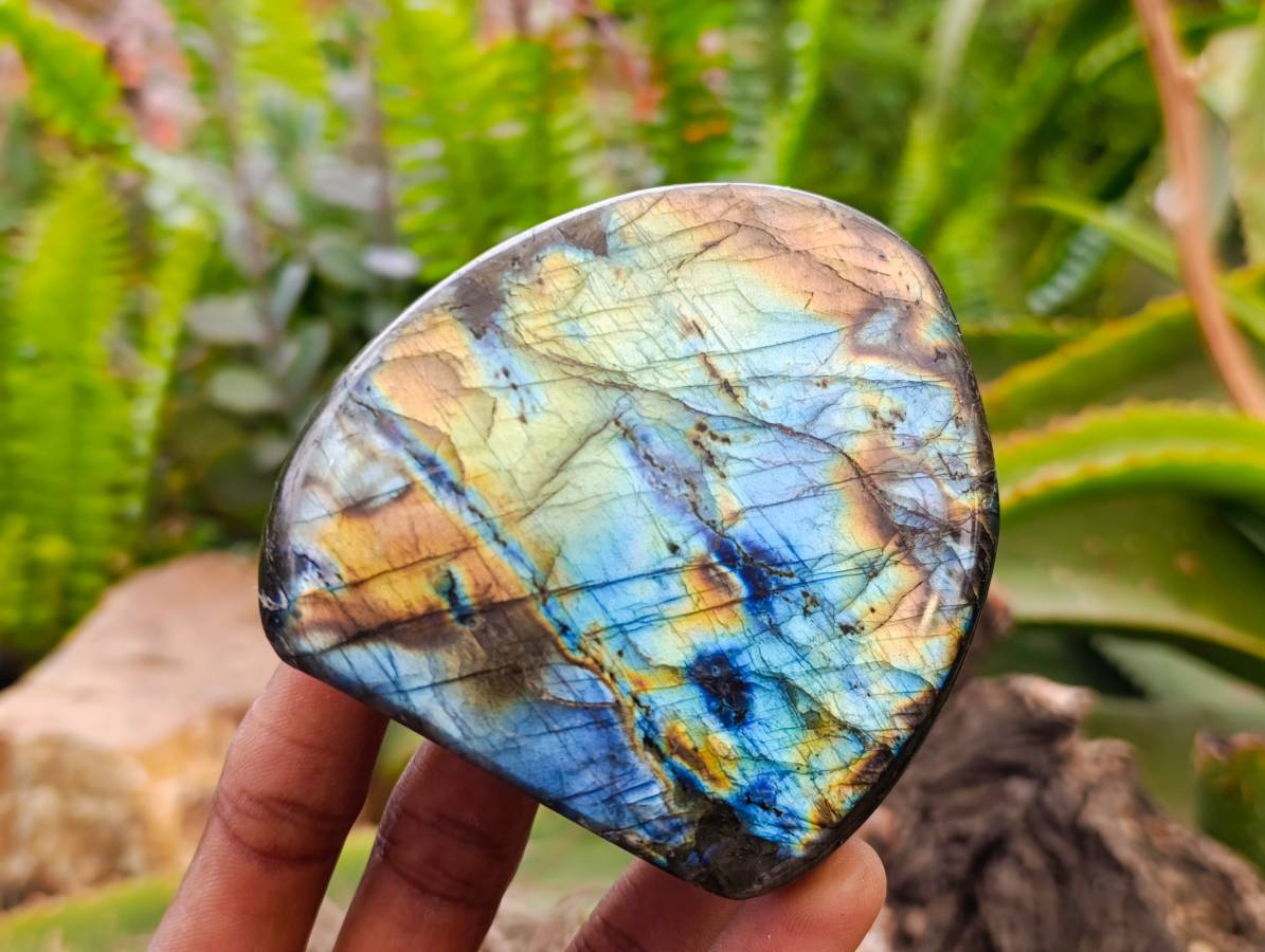 Polished Labradorite Standing Free Forms x 6 From Tulear, Madagascar - Toprock Gemstones and Minerals 