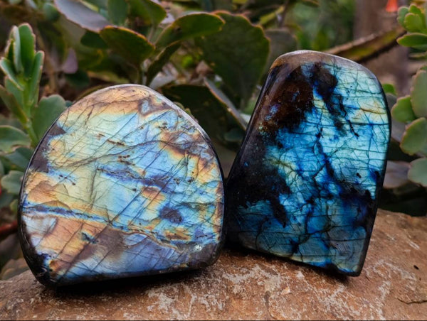 Polished Labradorite Standing Free Forms x 6 From Tulear, Madagascar