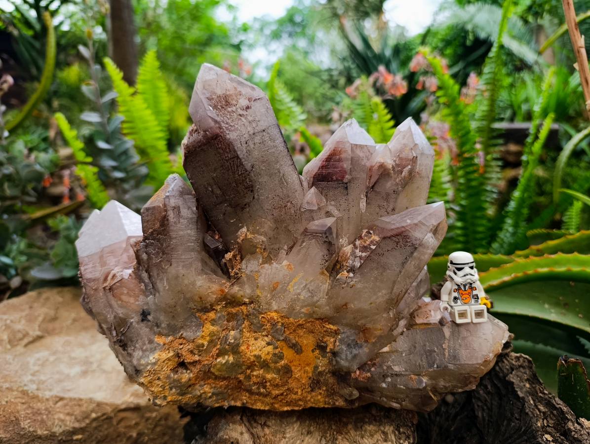 Natural Red Hematoid Quartz Cluster x 1 From Karoi, Zimbabwe - Toprock Gemstones and Minerals 