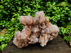 Natural Red Hematoid Quartz Cluster x 1 From Karoi, Zimbabwe - Toprock Gemstones and Minerals 