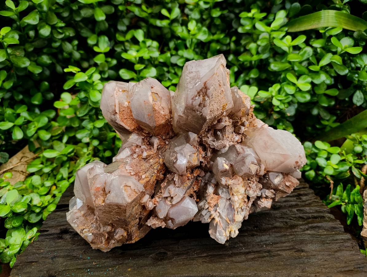 Natural Red Hematoid Quartz Cluster x 1 From Karoi, Zimbabwe - Toprock Gemstones and Minerals 