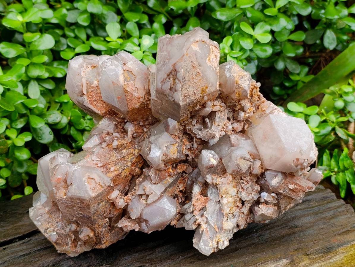 Natural Red Hematoid Quartz Cluster x 1 From Karoi, Zimbabwe - Toprock Gemstones and Minerals 