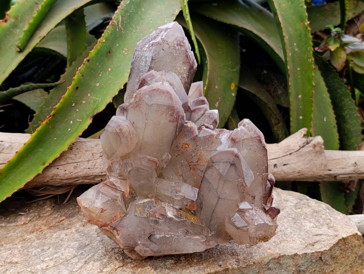 Natural Red Hematoid Quartz Cluster x 1 From Karoi, Zimbabwe - Toprock Gemstones and Minerals 