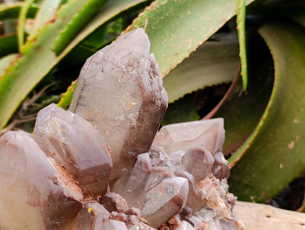 Natural Red Hematoid Quartz Cluster x 1 From Karoi, Zimbabwe - Toprock Gemstones and Minerals 