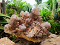 Natural Red Hematoid Quartz Cluster x 1 From Karoi, Zimbabwe - Toprock Gemstones and Minerals 