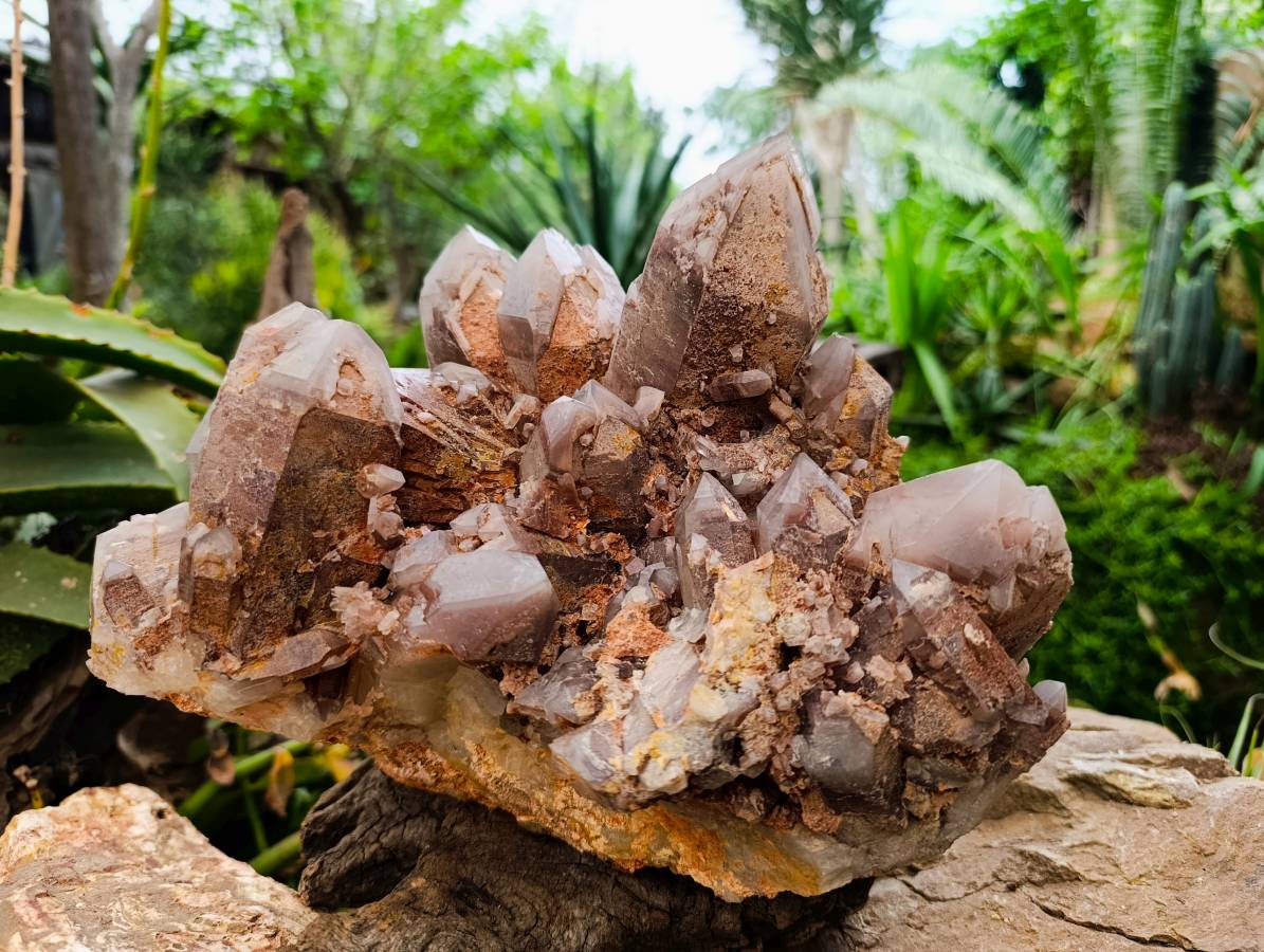 Natural Red Hematoid Quartz Cluster x 1 From Karoi, Zimbabwe - Toprock Gemstones and Minerals 