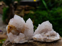 Natural White Spirit Quartz Crystals x 35 From Boekenhouthoek, South Africa