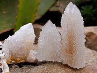 Natural White Spirit Quartz Crystals x 35 From Boekenhouthoek, South Africa