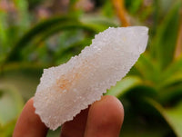 Natural White Spirit Quartz Crystals x 35 From Boekenhouthoek, South Africa