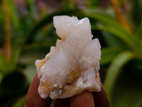 Natural White Spirit Quartz Crystals x 35 From Boekenhouthoek, South Africa