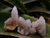 Natural White Spirit Quartz Crystals x 35 From Boekenhouthoek, South Africa