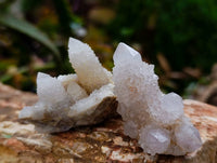 Natural White Spirit Quartz Crystals x 35 From Boekenhouthoek, South Africa