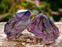 Natural Window Amethyst Crystals x 20 From Chiredzi, Zimbabwe