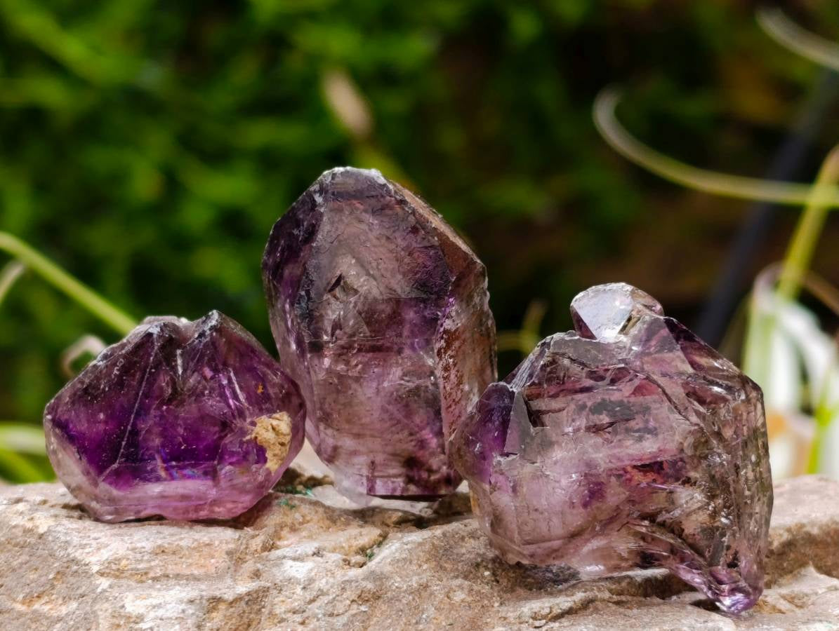 Natural Window Amethyst Crystals x 20 From Chiredzi, Zimbabwe - Toprock Gemstones and Minerals 