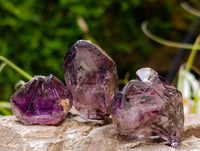 Natural Window Amethyst Crystals x 20 From Chiredzi, Zimbabwe