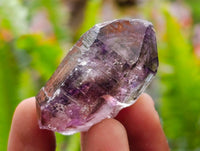 Natural Window Amethyst Crystals x 20 From Chiredzi, Zimbabwe
