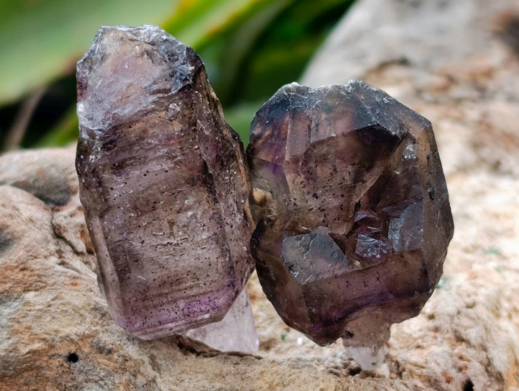 Natural Window Amethyst Crystals x 20 From Chiredzi, Zimbabwe - Toprock Gemstones and Minerals 