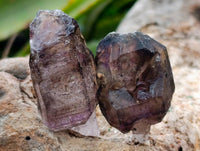Natural Window Amethyst Crystals x 20 From Chiredzi, Zimbabwe