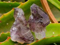 Natural Window Amethyst Crystals x 20 From Chiredzi, Zimbabwe