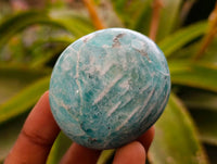 Polished Amazonite Palm Stones x 12 From Madagascar