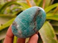 Polished Amazonite Palm Stones x 12 From Madagascar