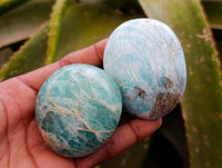 Polished Amazonite Palm Stones x 12 From Madagascar