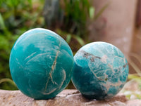 Polished Amazonite Palm Stones x 12 From Madagascar
