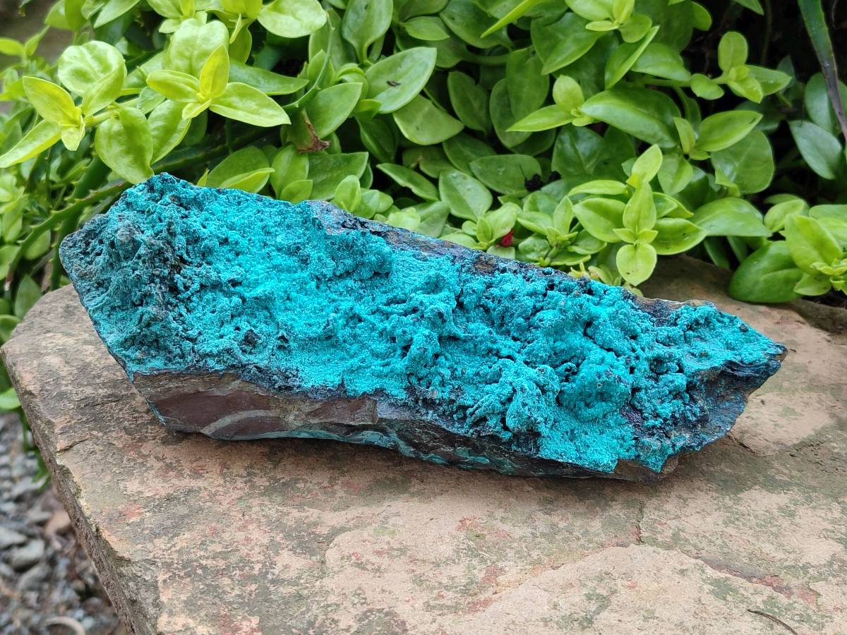Natural Silica Coated Chrysocolla Specimens x 3 From Lupoto Mine, Congo - Toprock Gemstones and Minerals 