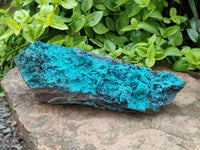 Natural Silica Coated Chrysocolla Specimens x 3 From Lupoto Mine, Congo