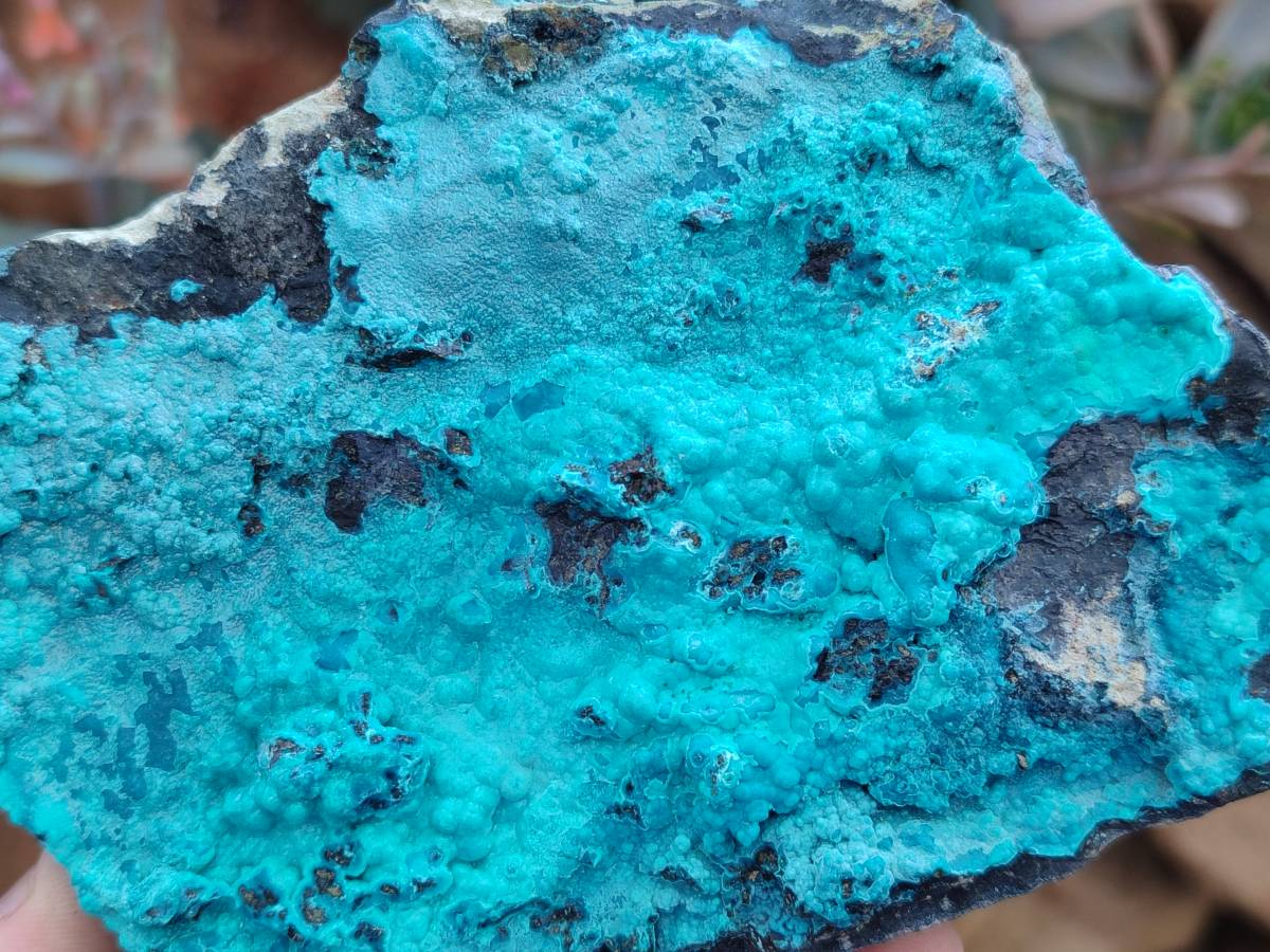 Natural Silica Coated Chrysocolla Specimens x 3 From Lupoto Mine, Congo - Toprock Gemstones and Minerals 