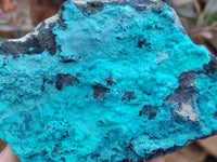 Natural Silica Coated Chrysocolla Specimens x 3 From Lupoto Mine, Congo
