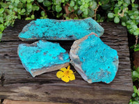 Natural Silica Coated Chrysocolla Specimens x 3 From Lupoto Mine, Congo
