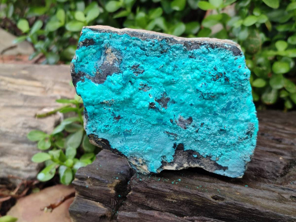 Natural Silica Coated Chrysocolla Specimens x 3 From Lupoto Mine, Congo - Toprock Gemstones and Minerals 