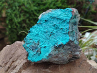 Natural Silica Coated Chrysocolla Specimens x 3 From Lupoto Mine, Congo