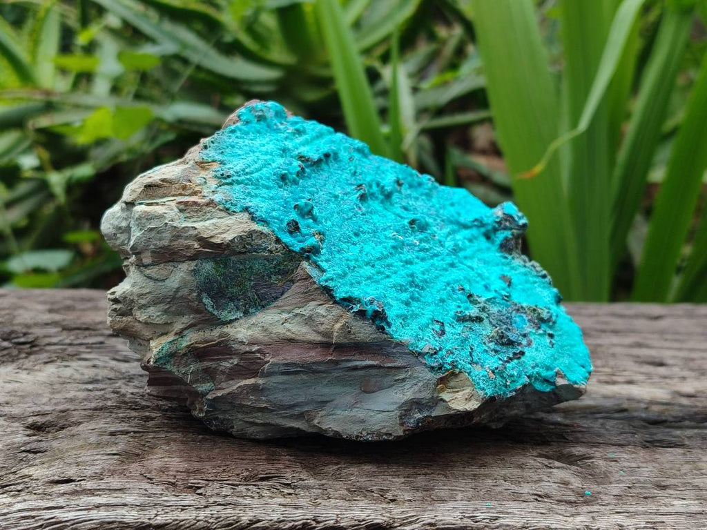 Natural Silica Coated Chrysocolla Specimens x 3 From Lupoto Mine, Congo - Toprock Gemstones and Minerals 
