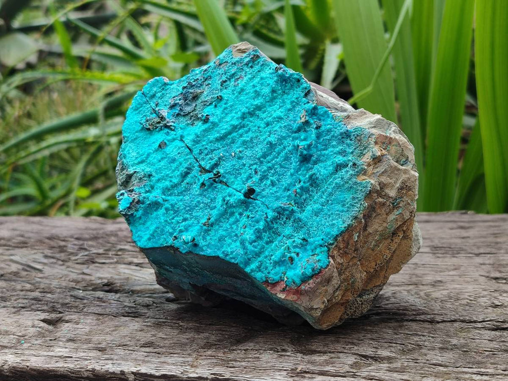 Natural Silica Coated Chrysocolla Specimens x 3 From Lupoto Mine, Congo - Toprock Gemstones and Minerals 