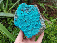 Natural Silica Coated Chrysocolla Specimens x 3 From Lupoto Mine, Congo