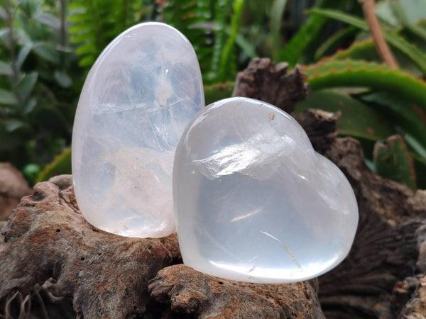 Polished Pearl Girasol Quartz Standing Free Forms, Hearts And Flame x 6 From Ambatondrazaka, Madagascar
