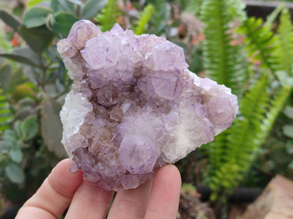 Natural Sunburst Amethyst  Spirit Quartz Clusters x 3 From Boekenhouthoek, South Africa - Toprock Gemstones and Minerals 