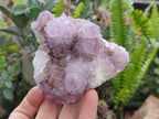 Natural Sunburst Amethyst  Spirit Quartz Clusters x 3 From Boekenhouthoek, South Africa - Toprock Gemstones and Minerals 