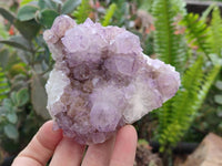 Natural Sunburst Amethyst  Spirit Quartz Clusters x 3 From Boekenhouthoek, South Africa